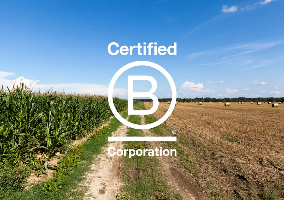 logo b corp su sfondo di campo