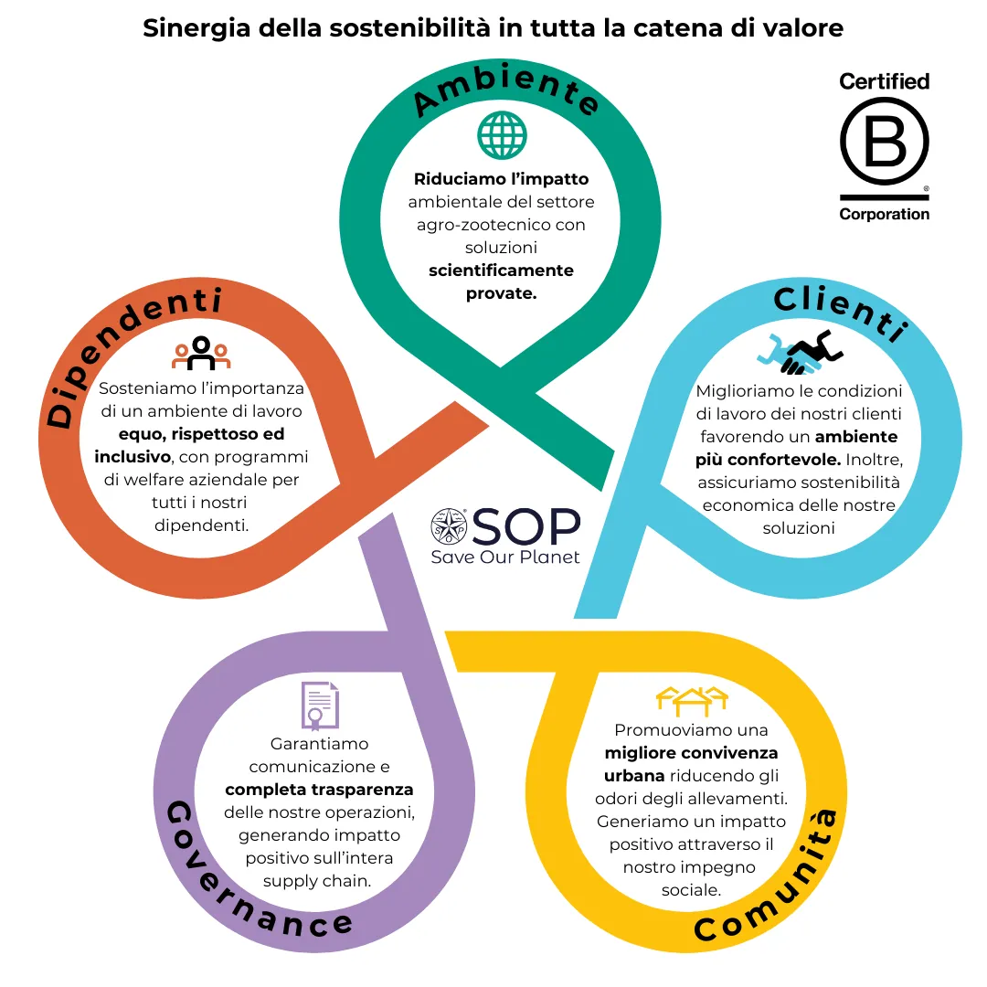 grafico sinergia della sostenibilità