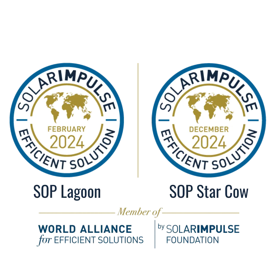 Logo solar impulse foundation