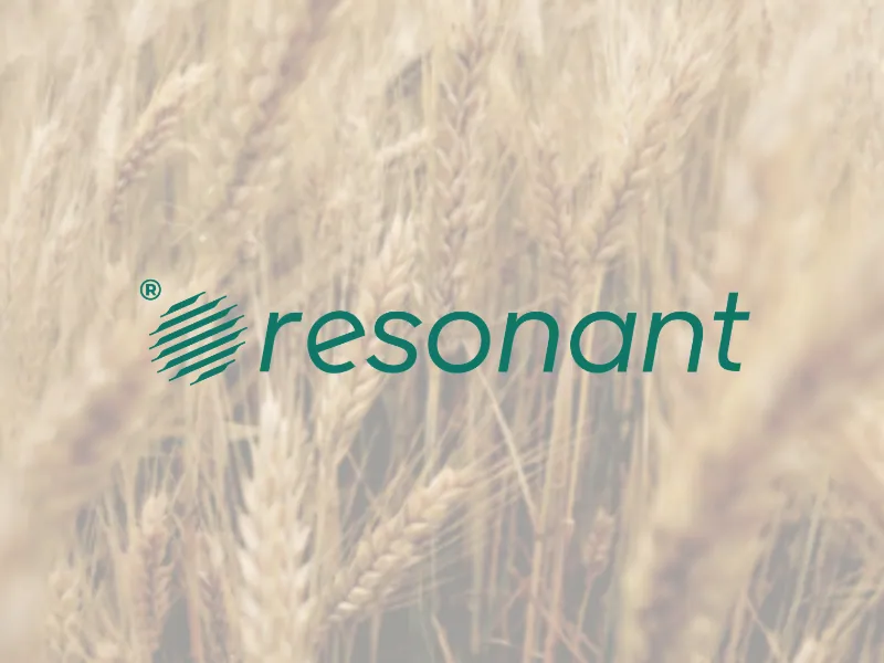 Immagine decorativa con: grano e logo resonant