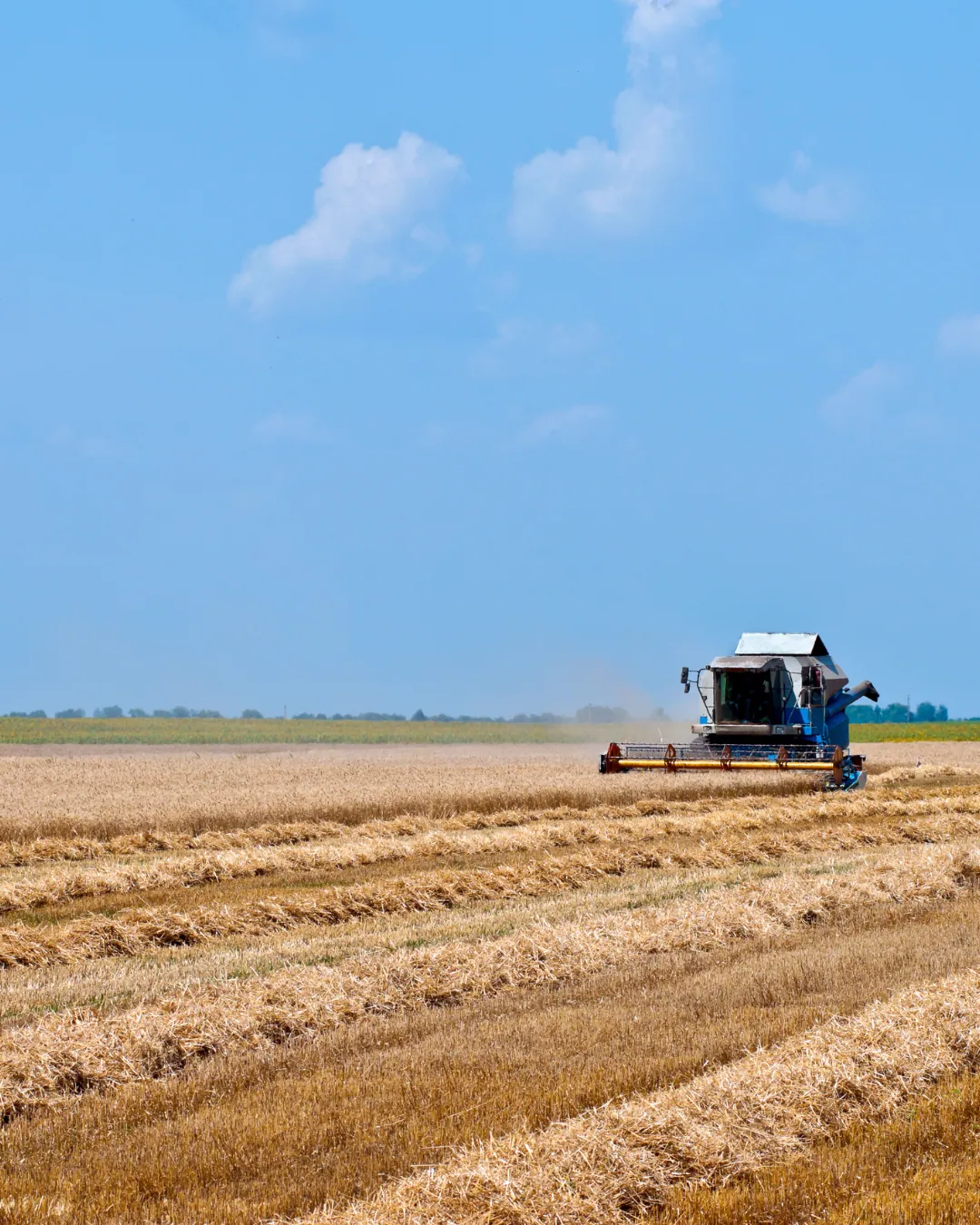 Immagine decorativa con: trattore che falcia il campo