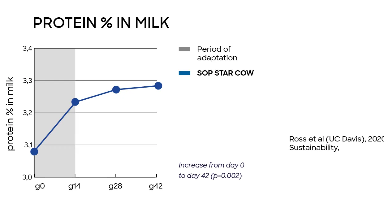 Graphic protein % in milk