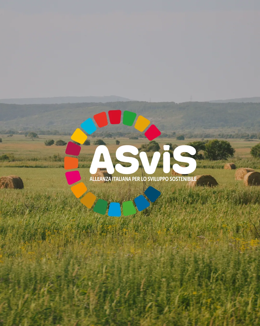 ASviS logo